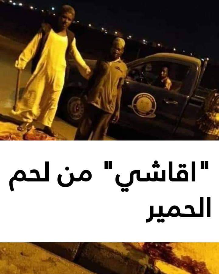 الشرطة تقبض علي جزار يقوم بذبح الحمير وبيعها كلحمة صالحة بالاسواق منذ اكثر من عام ..!
