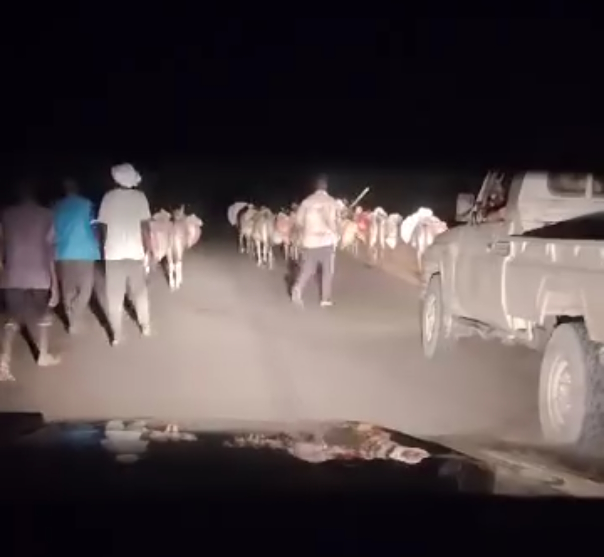 الدعم السريع تفشل “قافلة حمير” تحمل أحلام الفرقة السادسة
