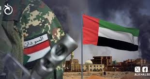 الإمارات تنفي مزاعم بورتسودان حول طائرة إماراتية في دارفور